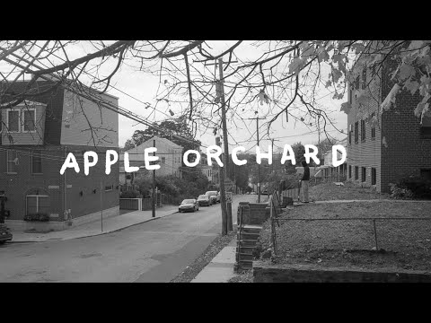 apple orchard | a film by NATIVE