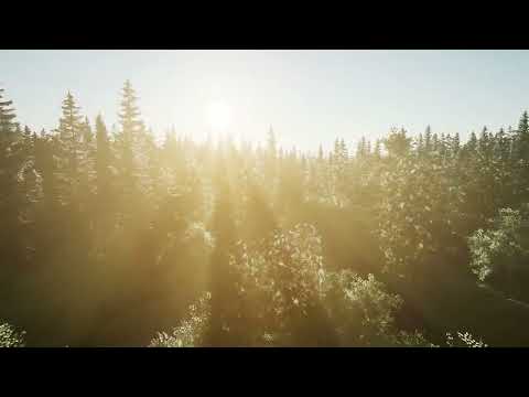 Hình bóng cũ - Ngọc Tín