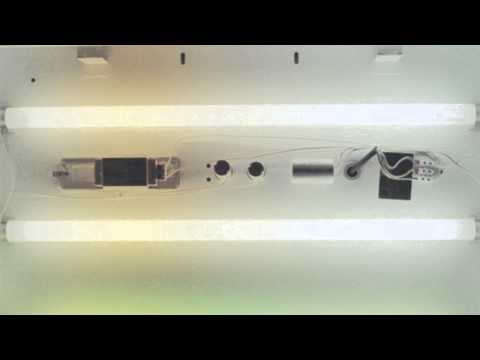 Chaos In The CBD - Rolling 84's