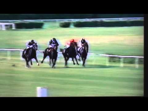 Nagroda Jaroszówki - 17.05.2003 - Tim (Saphir - Tess)