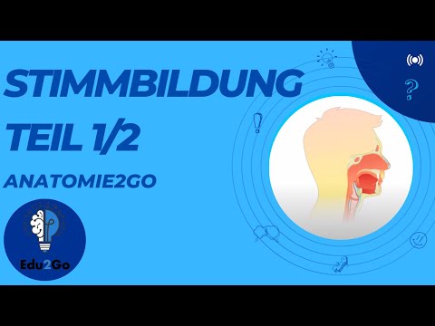 Die wichtige Funktion des Kehlkopfes - unsere STIMMBILDUNG (1/2) | Anatomie2Go
