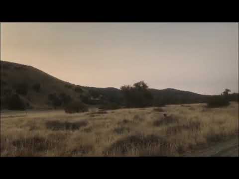 California Valley Quail Hunting on the Central Coast California Valley Quail Hunting on the Central Coast