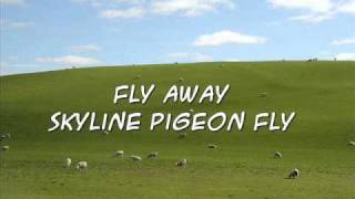 Elthon John - Skyline Pigeon (Lyrics Onscreen)