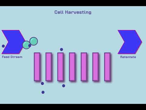 Introduction To Tangential Flow Filtration Tff