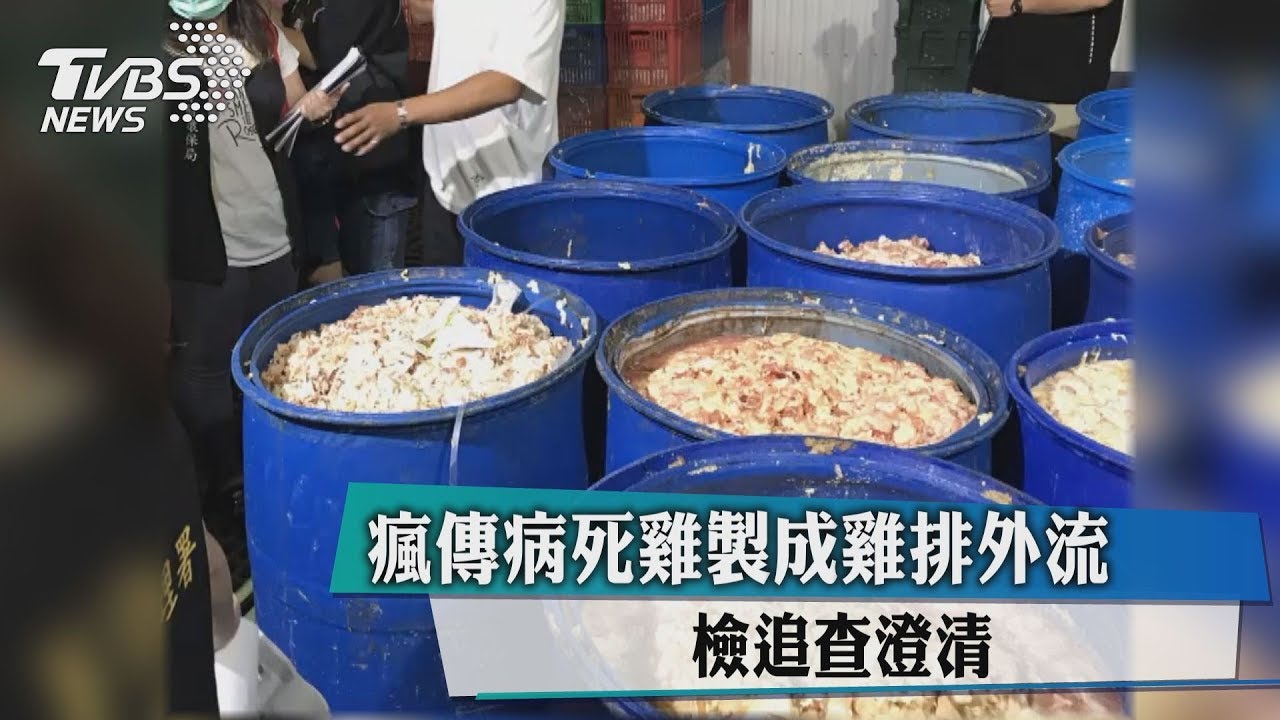 瘋傳病死雞製成雞排外流 檢追查澄清