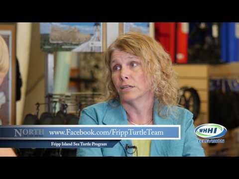NORTH OF THE BROAD | Fripp Island Sea Turtle Program | 6-5-2017