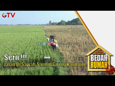 Seru !!!! Jalan Di Sawah Sambil Giring Kambing | Bedah Rumah | Eps 612 | (1/5)