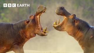 Behind the Scenes: Challenges of Filming Across Dry and Wet Seasons | 4K UHD | Kingdom | BBC Earth