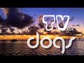 TV for Dogs - Dawn at the reservoir on a cloudy day - 4K