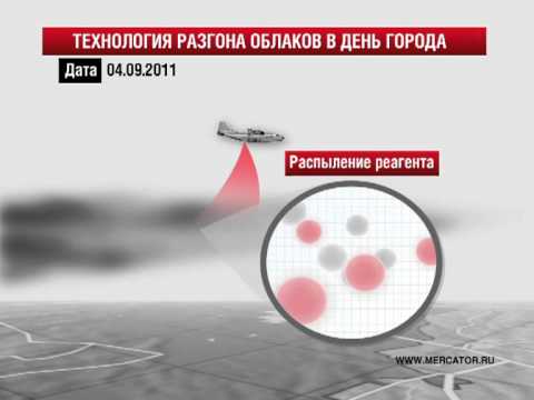 Смотреть видео на alushta24.org