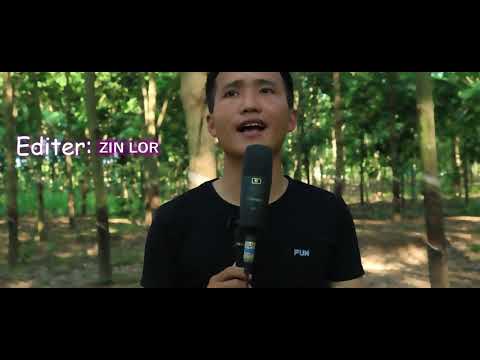 Dab Ntub Hlub/ cover/ Voom Xiong Ft Thu Lauj