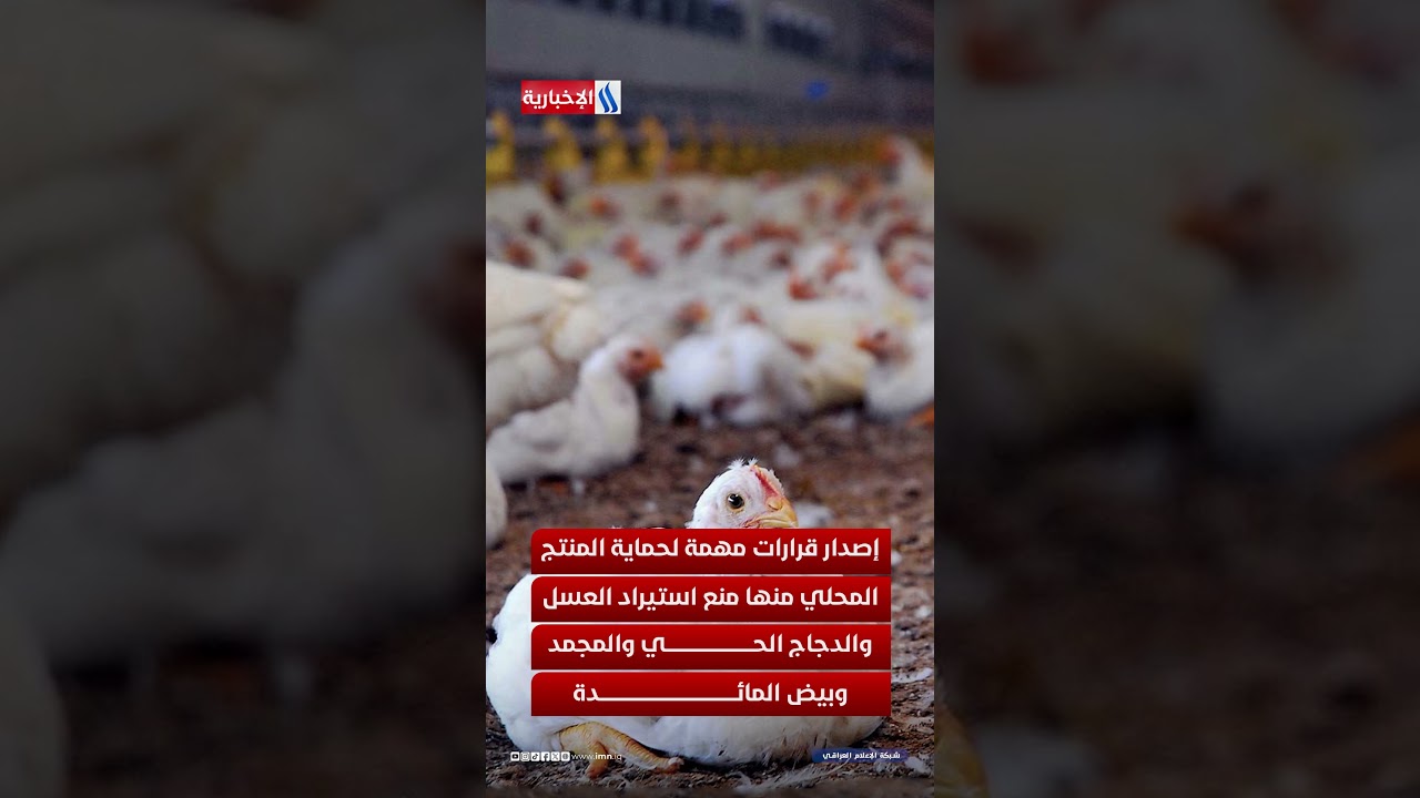 فيديو | الزراعة تعلن الإكتفاء الذاتي لأكثر من 48 محصولاً زراعياً
