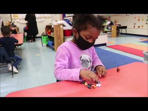 PreK Counting Collections