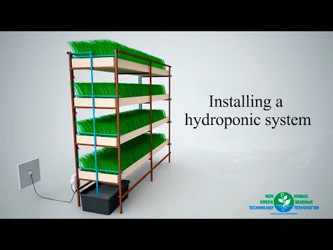 Installing The Hydroponic System