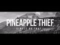 The Pineapple Thief - Simple as That (from ...