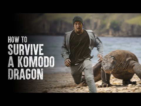 How To Survive a Komodo Dragon Attack