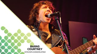 Barns Courtney - Golden Dandelions
