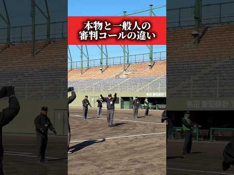 声の迫力が選手と全然違う。いつもありがとうございます！！#野球 #審判#shorts
