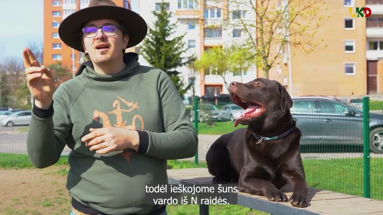 Šuo asistentas Naras – geriausias kurčiojo draugas