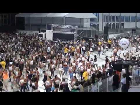 Ensaio Técnico Vai-Vai 18/01/2013