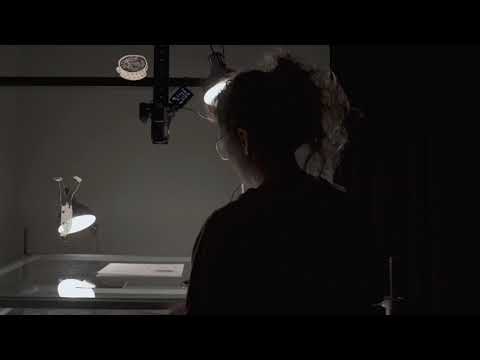 #Studiuj Sztukę mediów i animację, Akademia Sztuki w Szczecinie