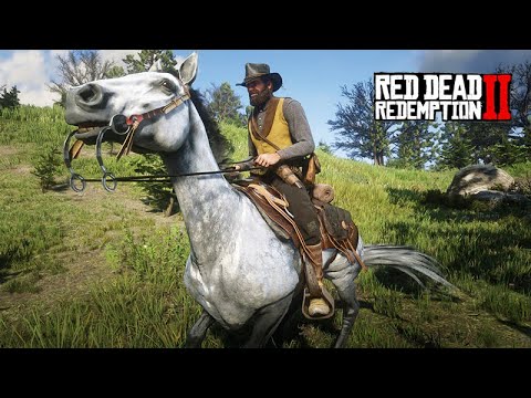 O domador de cavalos - DOMANDO O PURO SANGUE INGLÊS - Red Dead Redemption 2