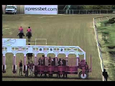 Pimlico 5/16/14 race 13 - Hilltop Stakes