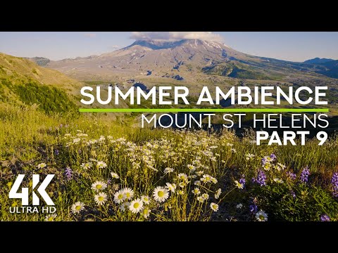 8 HRS Relaxing Summer Sounds of a Wildflowers Field - Summer Ambience at Mt St Helens - Episode #9