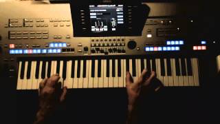 Das Karussell in meinem Bauch - Helene Fischer, Coverversion mit Style auf Tyros 4