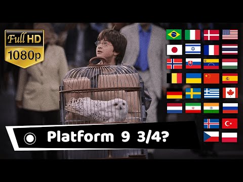 "PLATFORM 9 3/4" in 29 Different Languages Harry Potter
