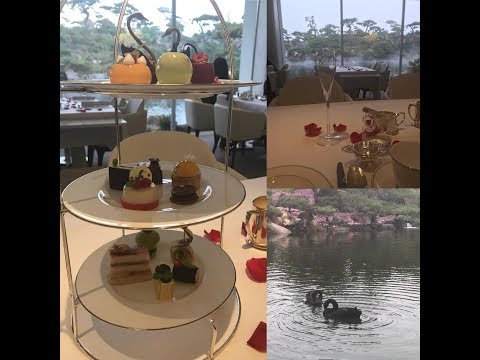 download lagu mp3 mp4 Black Swan Cake China, download lagu Black Swan Cake China gratis, unduh video klip Black Swan Cake China