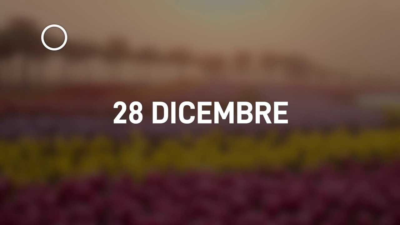 28 Dicembre 2024 | Meditazione Parole di Vita