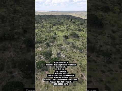 Fazenda à venda em Buritis/MG.