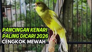 Download lagu Pancingan Kenari Jitu Cepat Respon! Bunyi Suara Kenari Gacor Jernih & Stabil Dijamin Ngeroll Panjang mp3