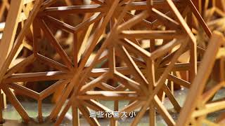 李介洲介紹影片截圖