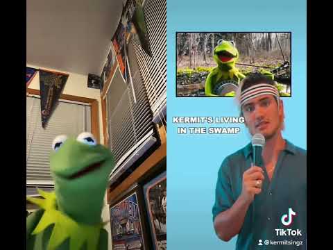 Kermit Is My Boyfriend - Carter Vail