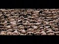 Vaseline 2007 Television Commercial