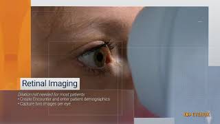 EyeArt System for Automated Diabetic Retinopathy Testing