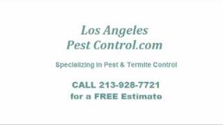 Downtown LA Pest Control, 213-928-7849, Mice, Roach, Rat, Bed Bug Removal, Ktown