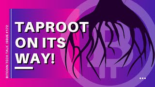 Taproot on its way! BCH being deceitful! Bitcoin Tech Talk Issue #172