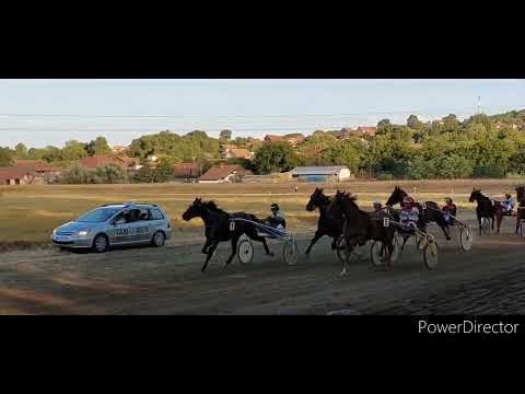 trka najboljih kasačkih grla ove godine u Srbiji,@Rajko Palić