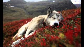 sean hayes - cool hand