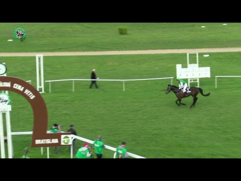 BA 16.4. Dostihy 4 - Memoriál Jindřicha Němčanského