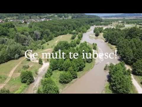 George John- Din Dragoste Te-am Ales | Lyrics Video |