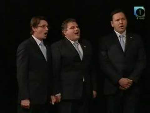 Moška vokalna skupina Srake - Kraguljčki