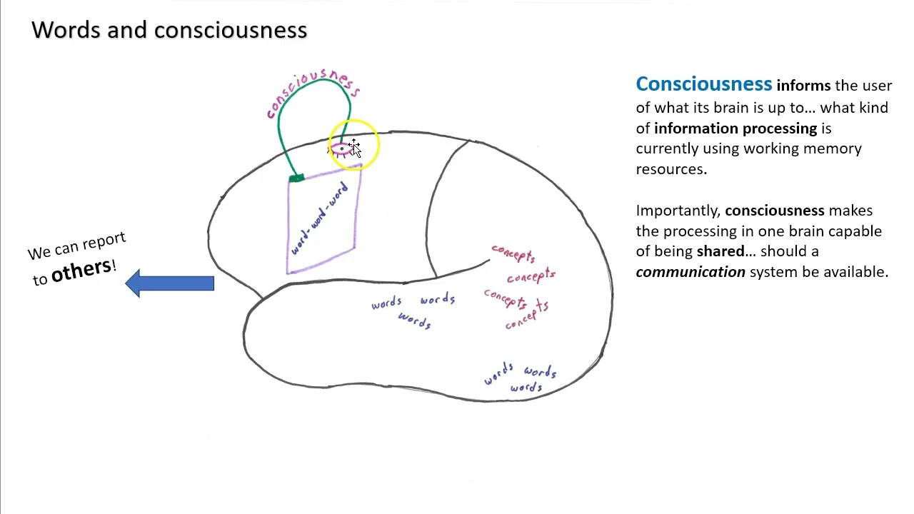 What is the Value of Consciousness?