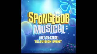 Spongebob Squarepants Theme Song - The Spongebob Musical : LIVE on Stage!