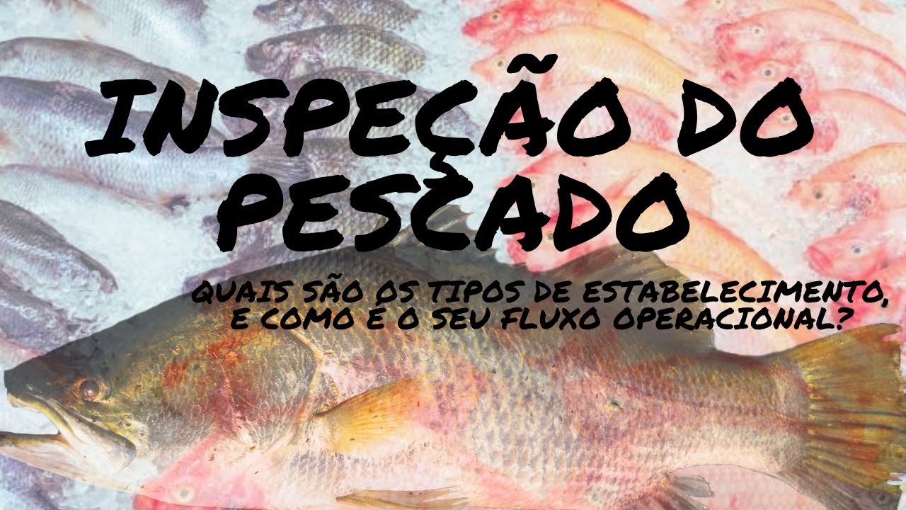 Inspeção de pescados- Tipos de estabelecimentos e fluxo operacional