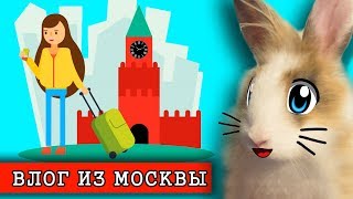 КОТ МАЛЫШ и КРОЛИК БАФФИ смотрят ПРИКЛЮЧЕНИЯ В МОСКВЕ! Мой ДЕНЬ на КАНИКУЛАХ или MY Holiday routine