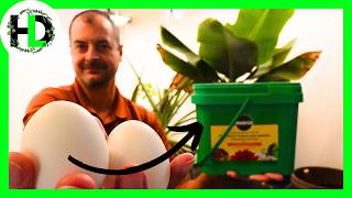 Hydroponics Battle: Miracle Gro vs. Masterblend